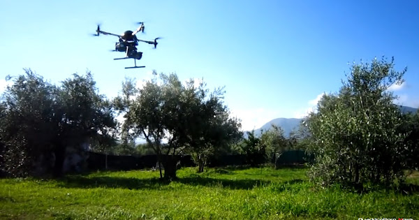 Agricoltura 4.0: Accordo tra Dta e Unaprol per il monitoraggio dei focolai di Xylella