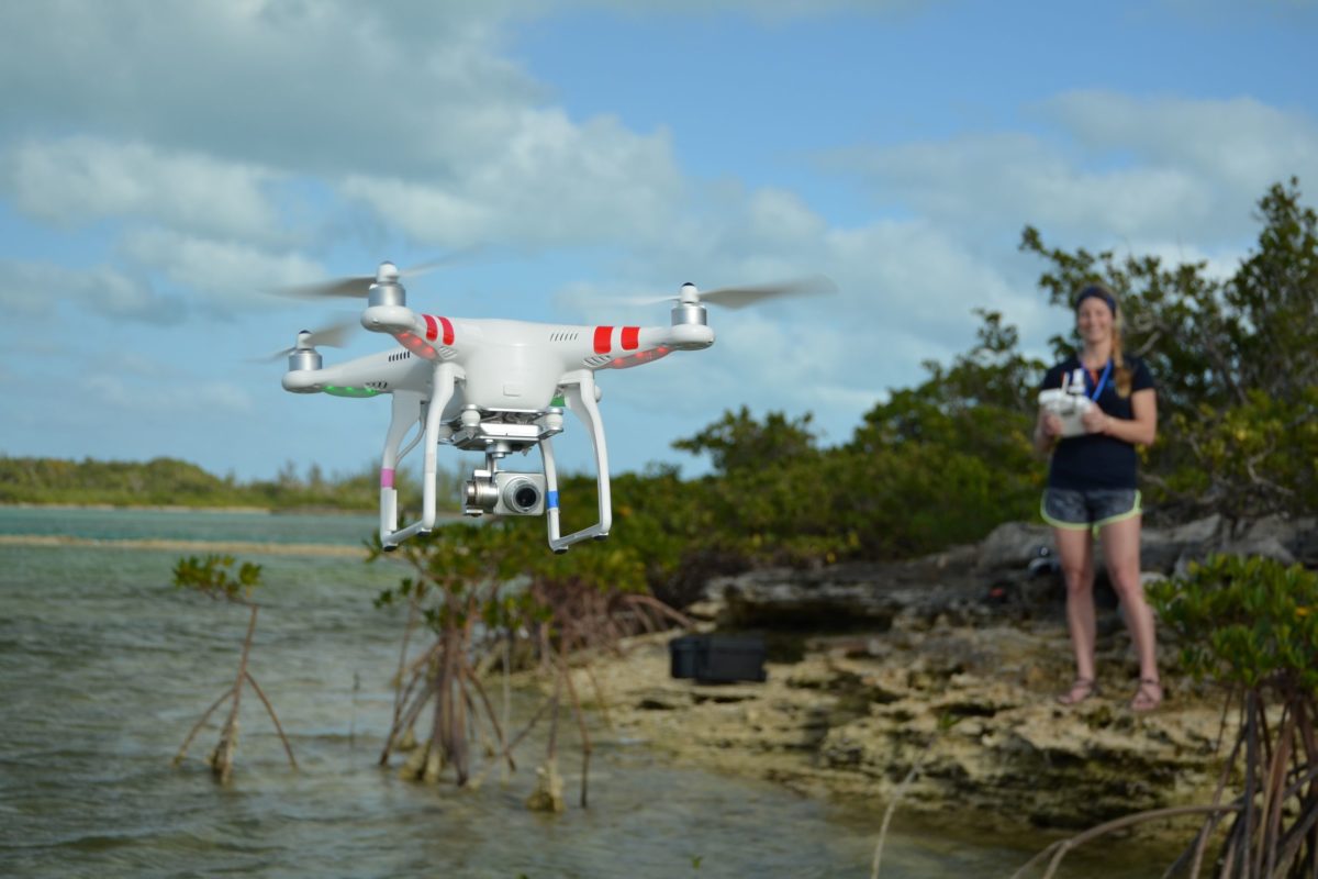 Droni utilizzati per monitorare la fauna acquatica