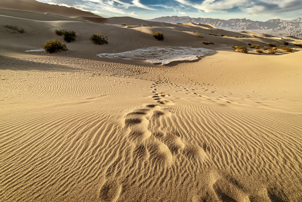 How to cross the desert