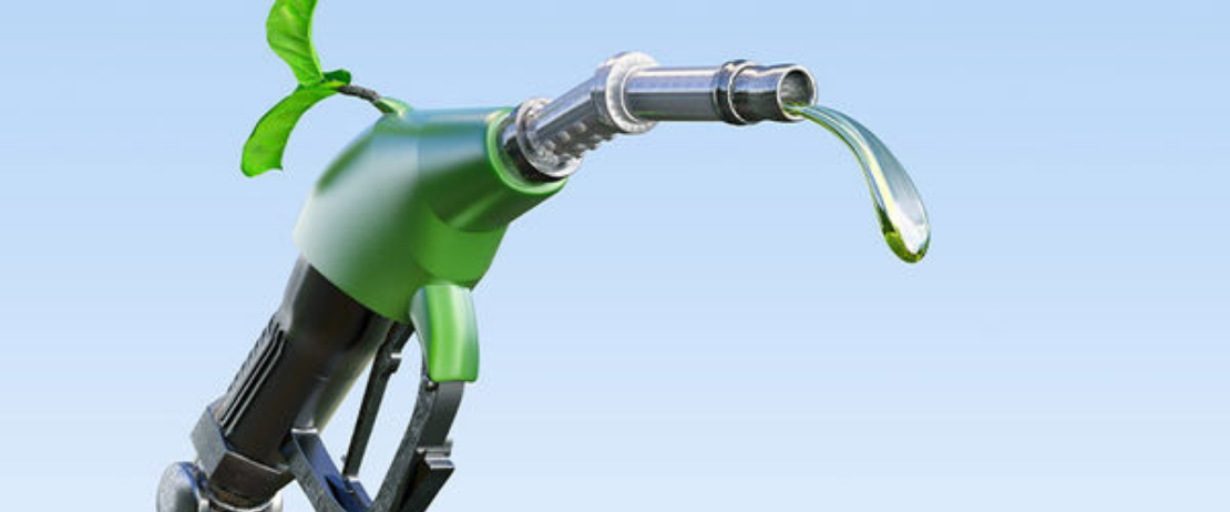 Biocarburanti, le grandi compagnie petrolifere sviluppano nuovi prodotti e processi