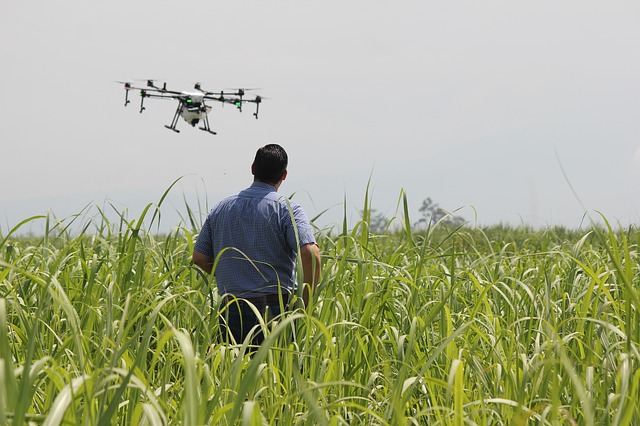 Droni e agricoltura