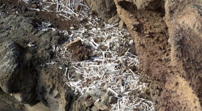 Droni scoprono una tomba millenaria nelle Canarie