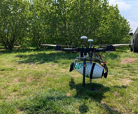 Lancio di insetti utili mediante droni