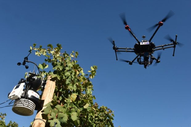 Tim Smart Agriculture: droni in vendemmia