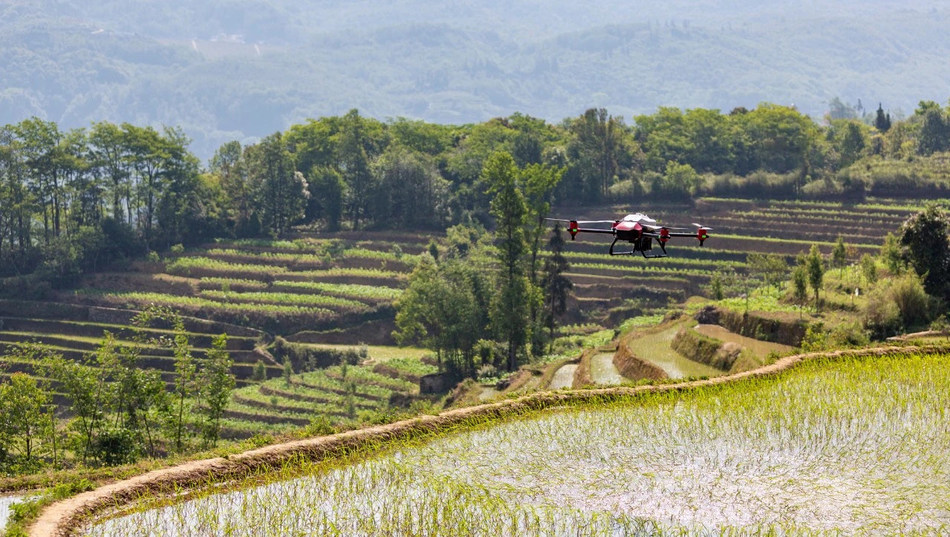 Reuters premia i migliori droni per l'agricoltura sostenibile